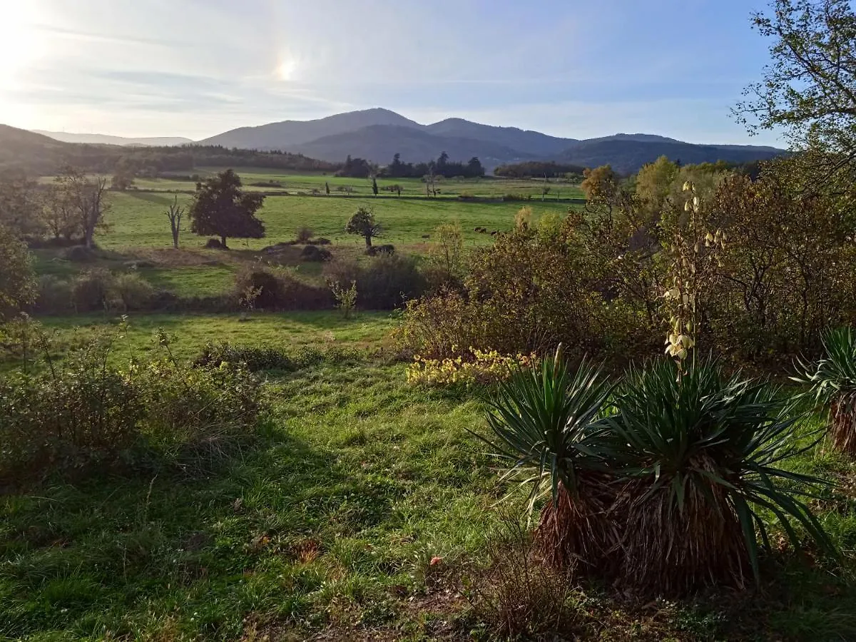 Villa Maison Calme Avec Piscine Entouree De Son Parc Quintenas